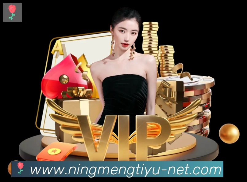 数据分析功能