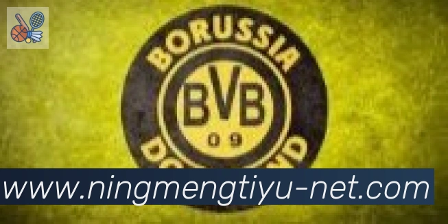 柠檬体育直播合作伙伴